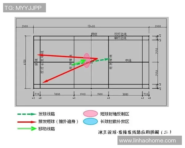 羽毛球女双顶尖组合战术分析与发展趋势